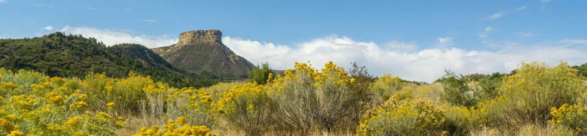 Markus in Colorado und Utah