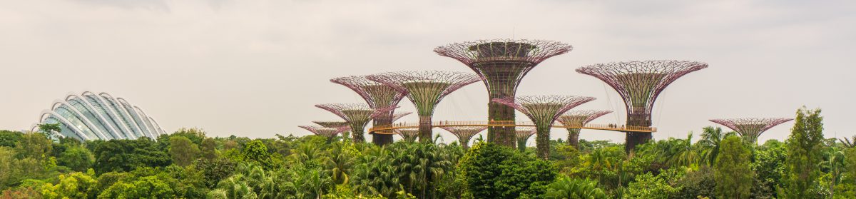 Markus in Singapur